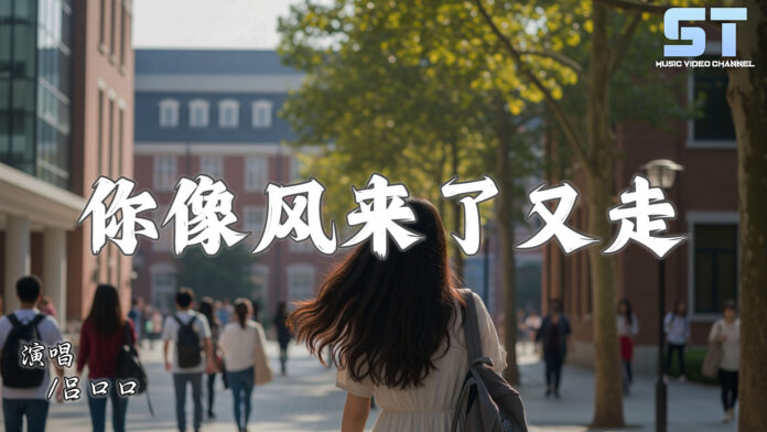 吕口口 - 你像风来了又走