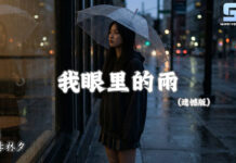 我眼裡的雨 (遺憾版) – 李林夕