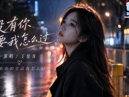 王佳音 – 沒有你要我怎麼過